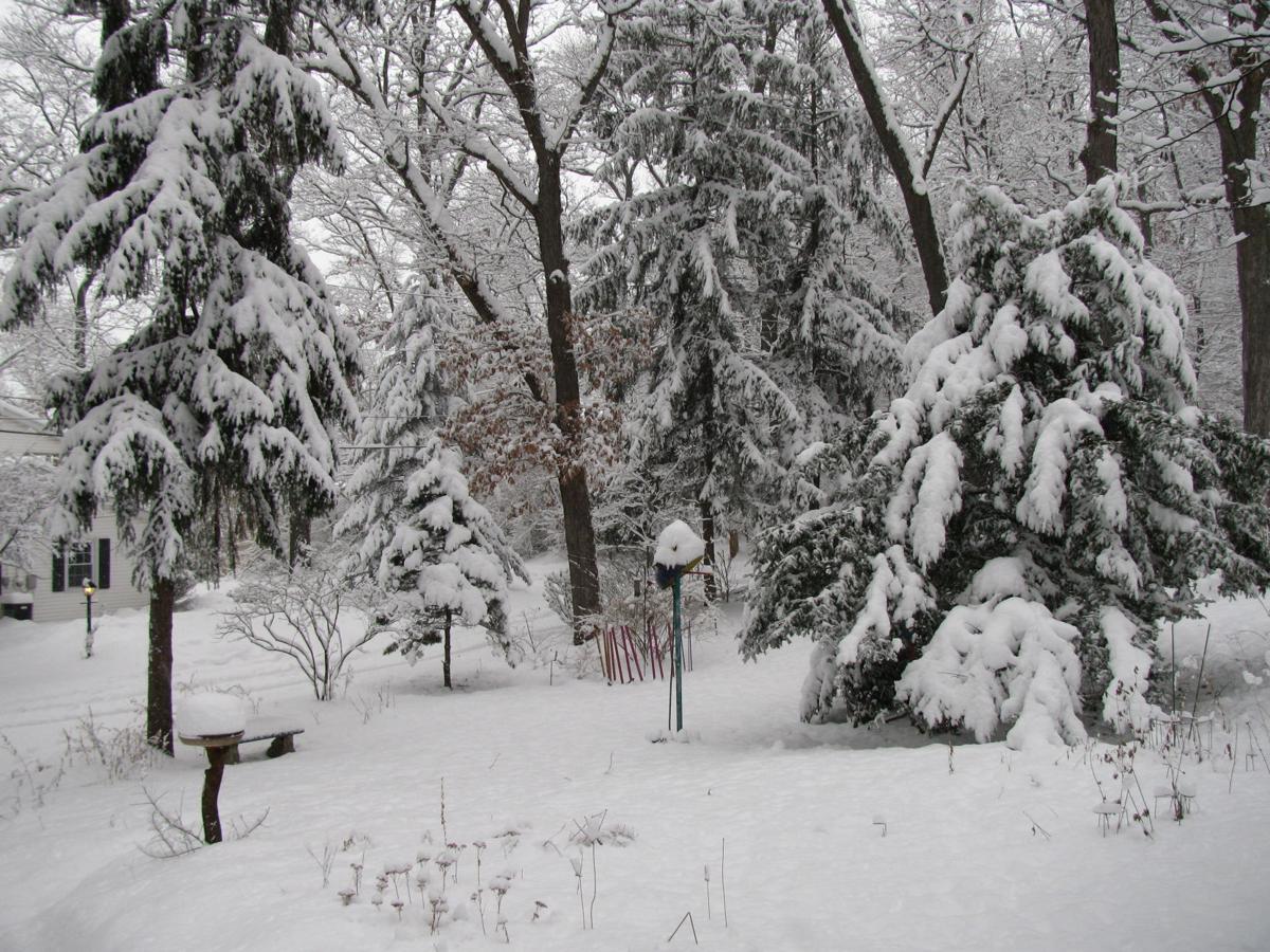 Snow 2018