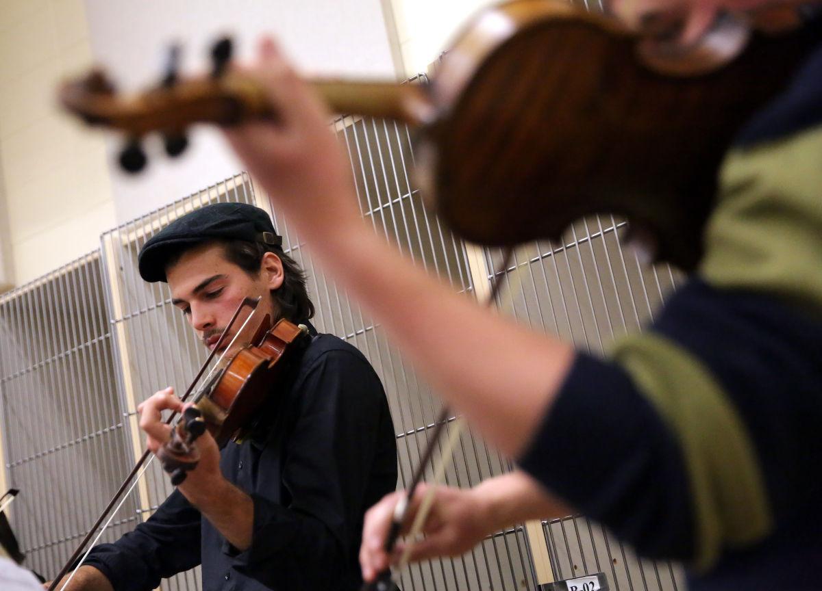 Master violinists perform for Munster orchestra | Latest ...