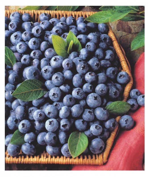 Blueberries
