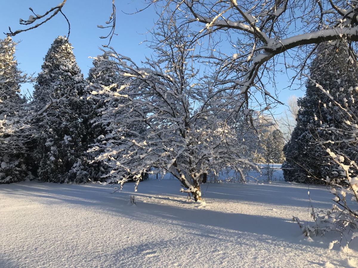 Snow 2018