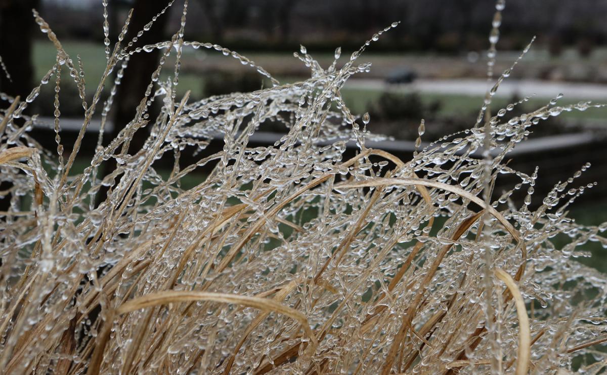 Ice weather stock