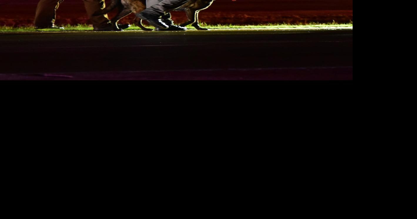 Are K9 Dogs Trained To Kill