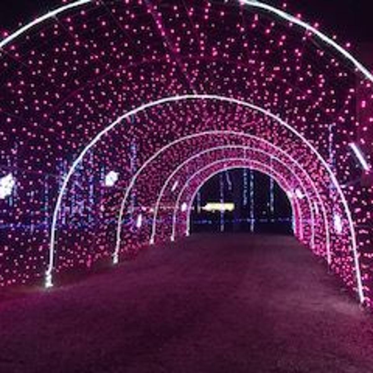 Harvest Tyme To Host Drive Thru Christmas Light Show Local News Nwitimes Com Christmas Through Lowell 2021