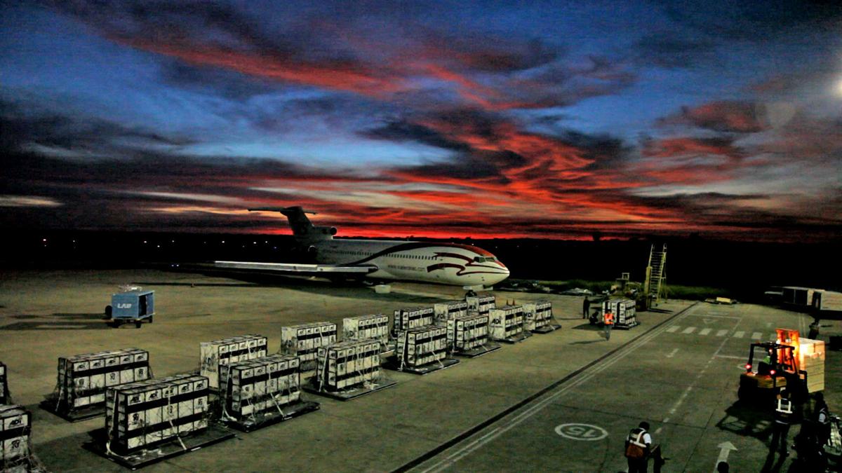 Documentary Tells Story Of Lions Rescued From Bolivian Circuses Movies Nwitimes Com <p>(documentary) an adi films release and presentation in association with seafox prods. lions rescued from bolivian circuses