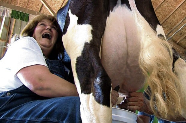 Girl Milked Like A Cow