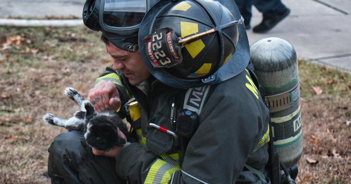 Munster firefighters rescue rabbit from house fire, save its life with CPR