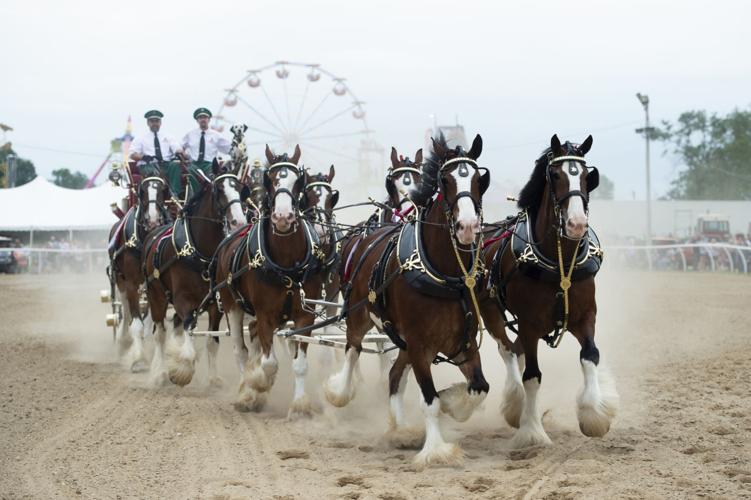 Clydesdales and so much more back for the Cardinals home opener