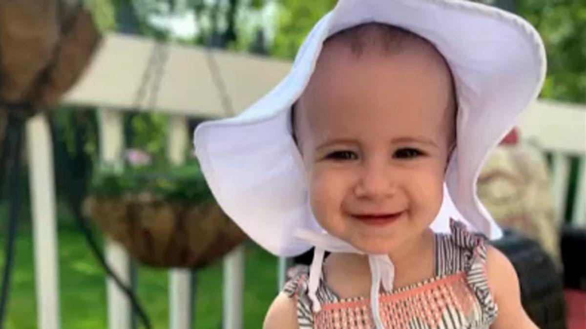 Update Valpo Grandfather Pleads Guilty In Toddler S Cruise Ship Death Latest Headlines Nwitimes Com