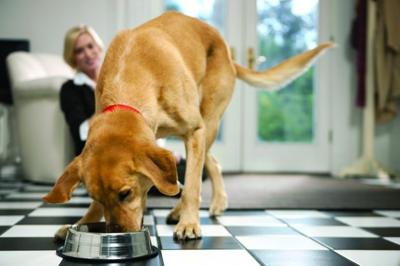 Pet Food Labels Decoded | Pets | nwitimes.com