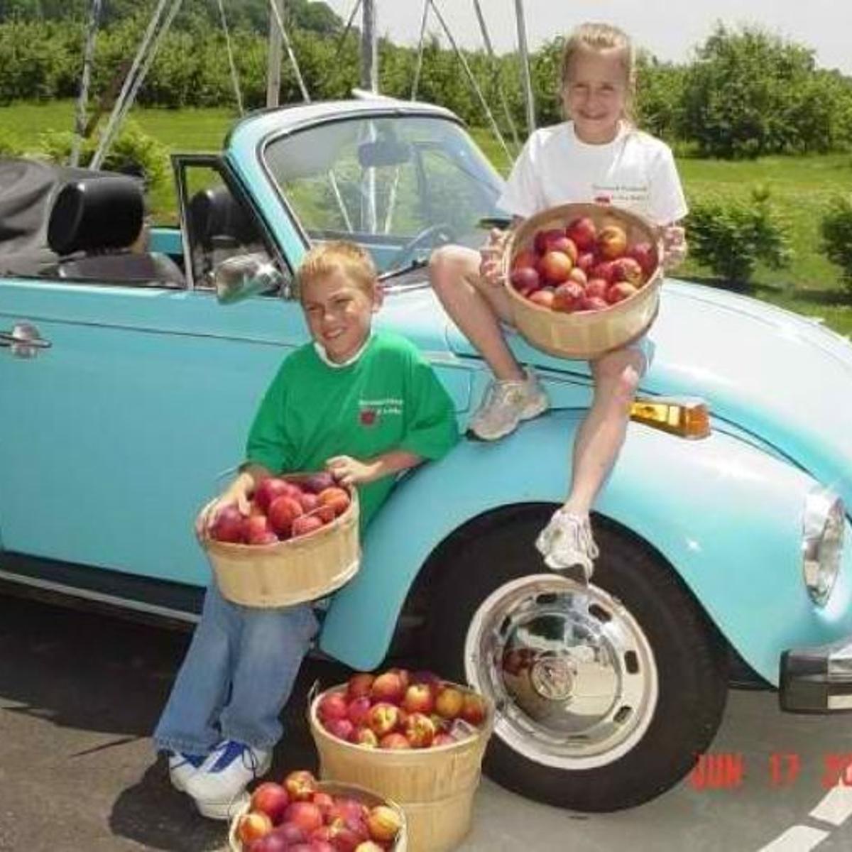 Harvest Country Lake Michigan Area Farms Enjoy The Bounty Of