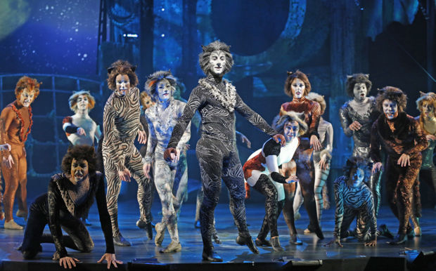 Offbeat With Phil Potempa: Latest 'cats' Includes Dog Salute Musical Number