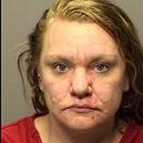 Valpo-area mom had cocaine around her son, charges say - Vimarsana News
