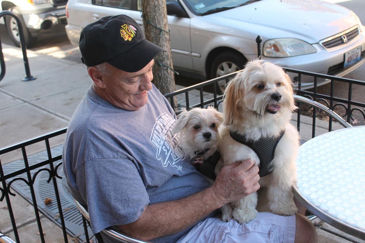 Schererville passes antipuppy mill ordinance