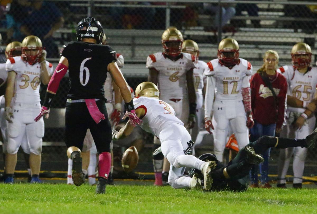 Gallery: Andrean at Lowell football