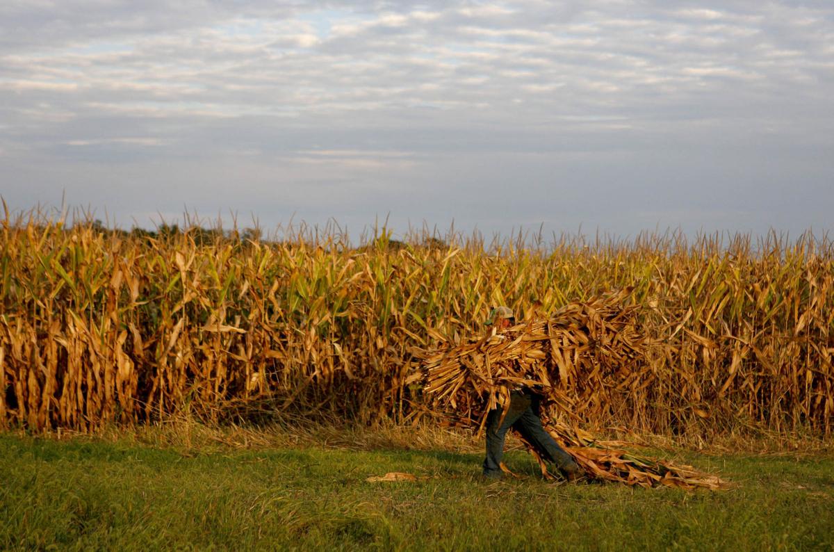 Northwest Indiana farms honored for more than a century of longevity
