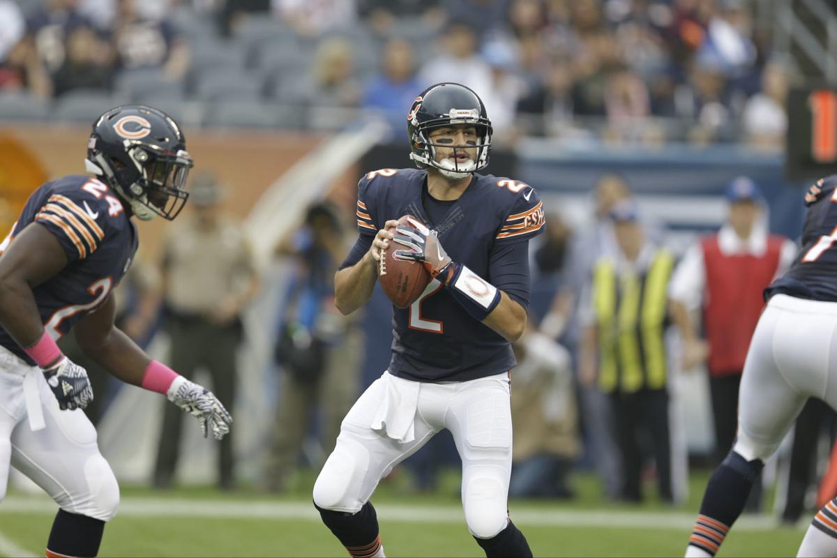 Brian Hoyer