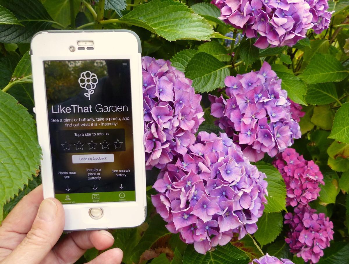 Top gardening apps tested and recommended by the experts ...