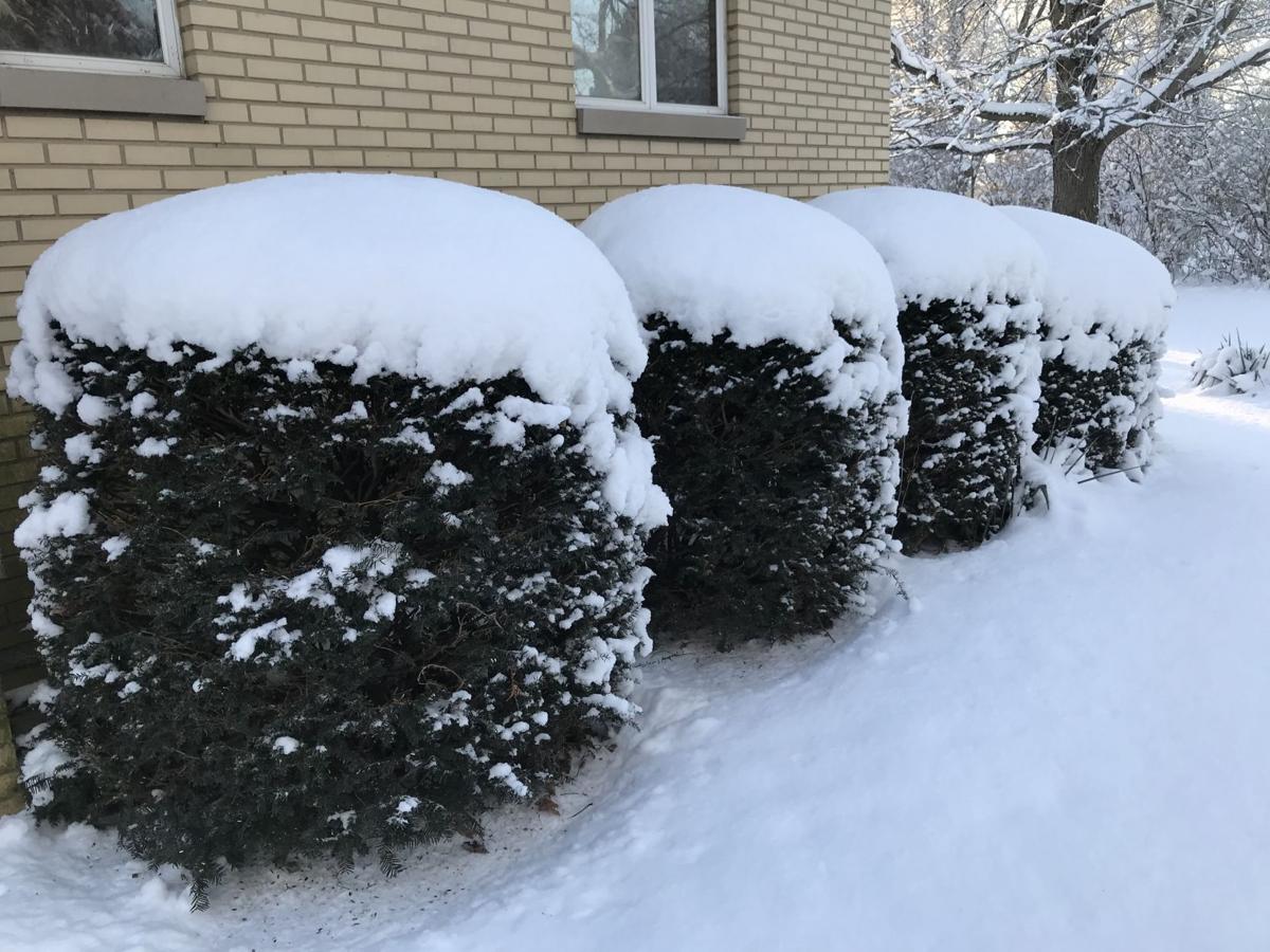 Snow 2018