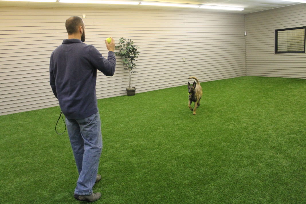 Valparaiso couple set to open luxury dog kennel | Porter County News