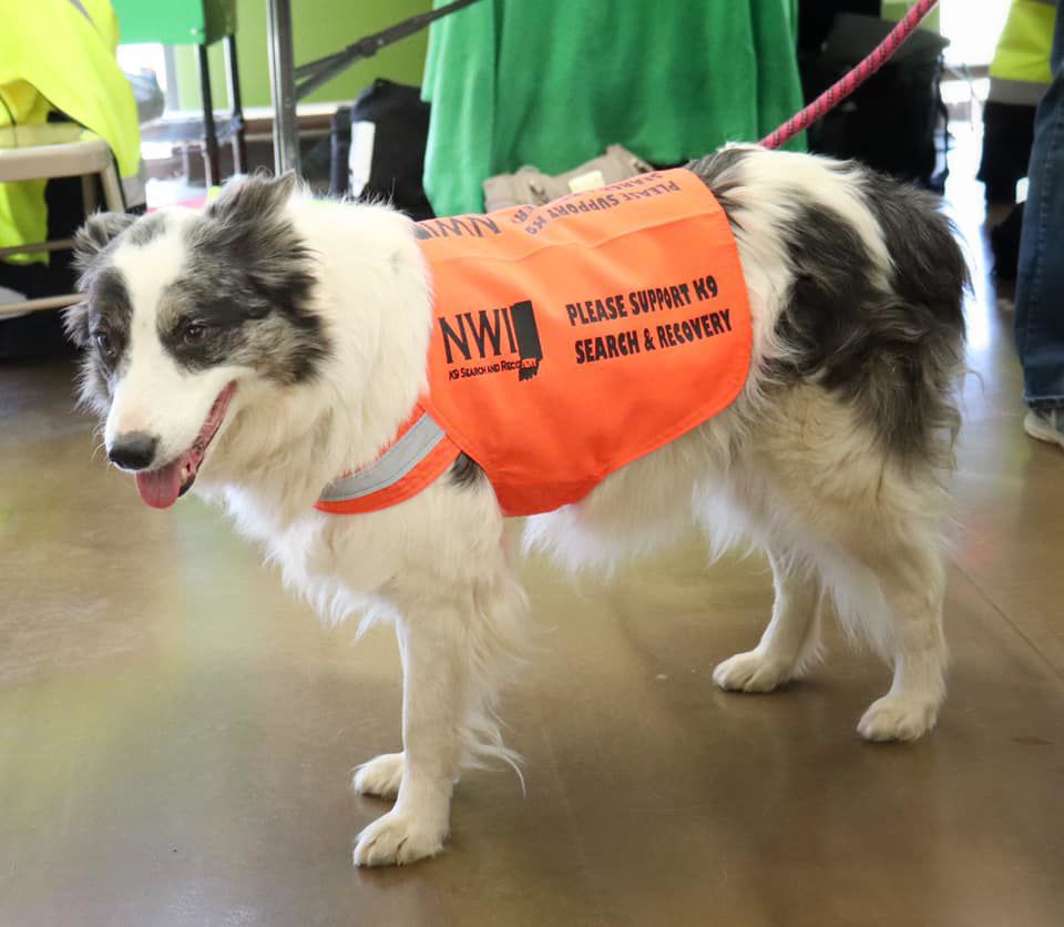 NWI K9 Search and Recovery helps find 70-year-old man missing in Aurora