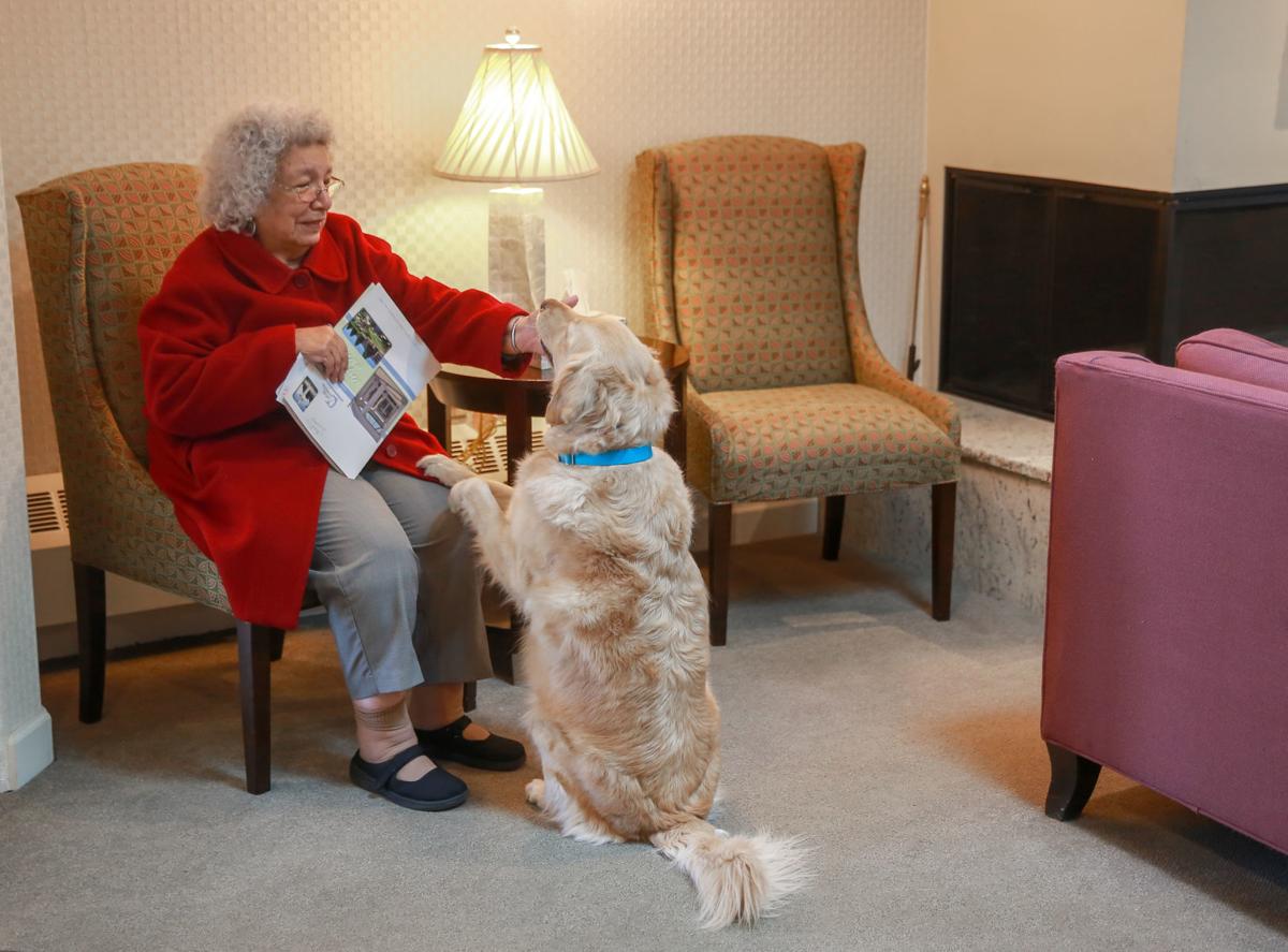 Comforting canine Dog visits grieving individuals at Munster funeral