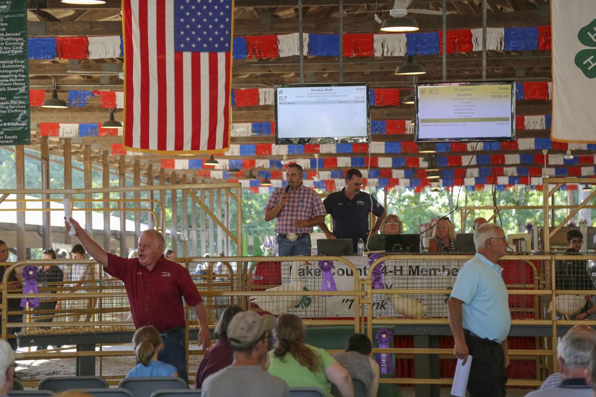 4H'ers showcase their animals, hard work during Lake County Fair's