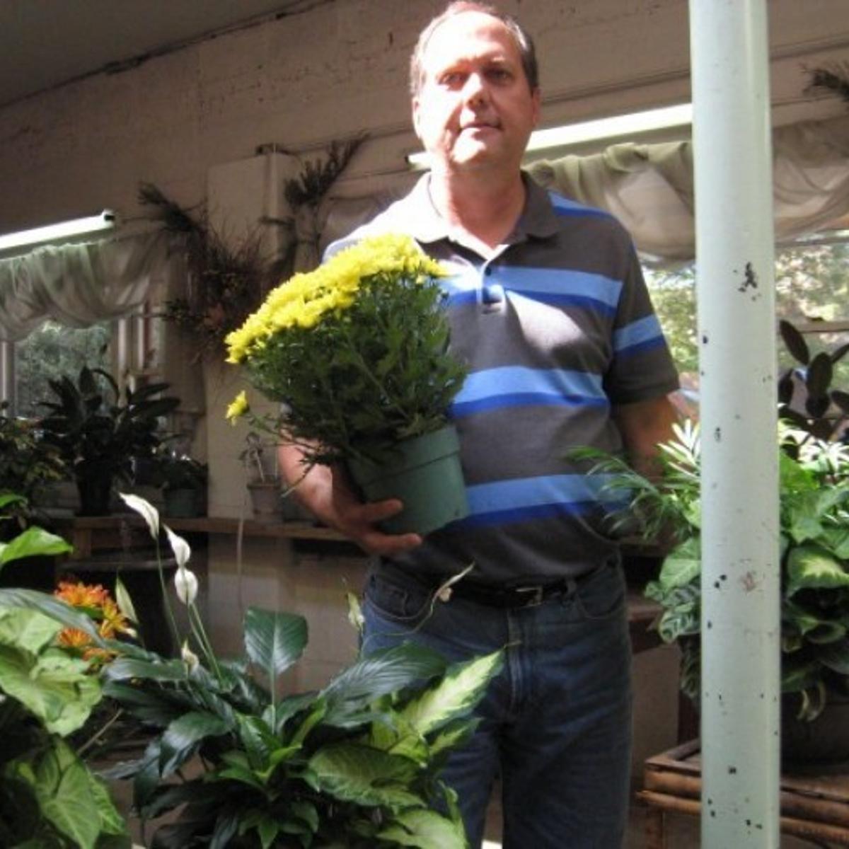 Backyard Greenhouses Allow Cultivation And Climate Control For
