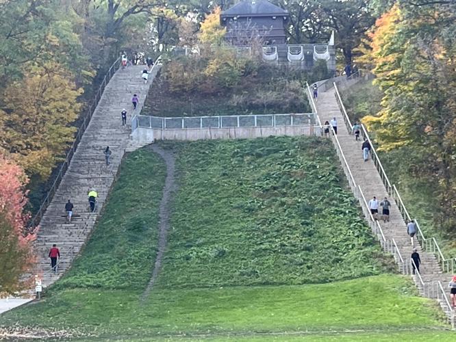 Swallow Cliff Woods part of pilot to keep visitors on trails