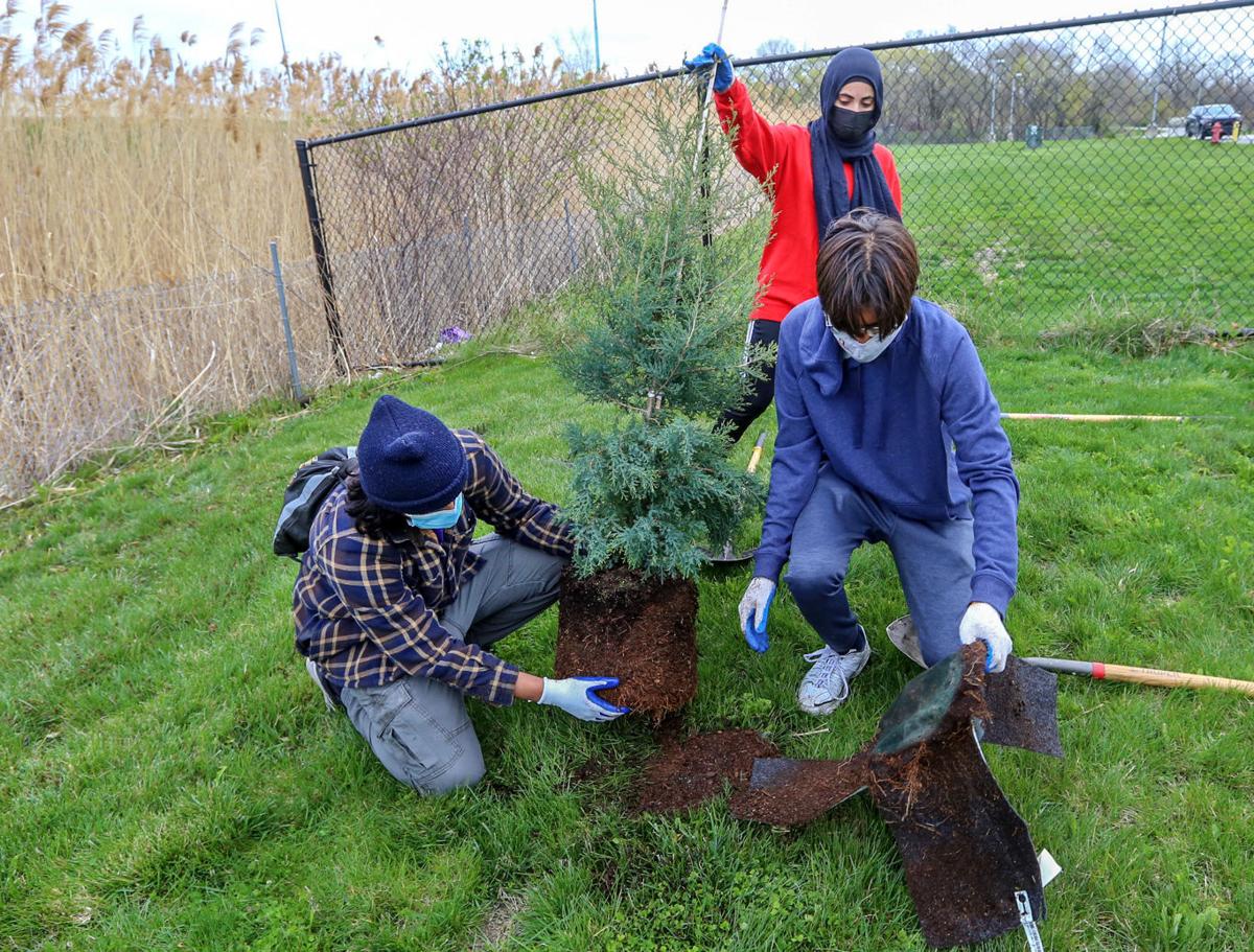 Where Can I Volunteer To Plant Trees Near Me - Family Environmental Volunteers Planting Trees Smiling Each Other Reforestation By Motortion : Katie arias, volunteer since 2011 my name is katie and i volunteer at trees matter because i love it so much!having successful and thriving trees is one of the most pressing concerns in our city (and the world).