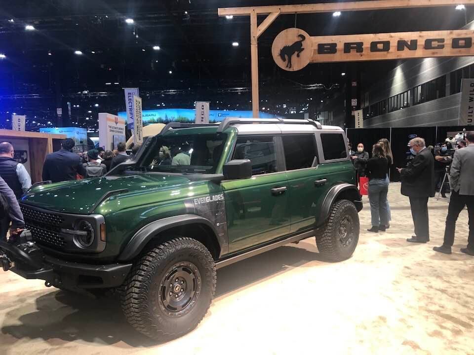 PREDICTION, Everglades Green Bronco