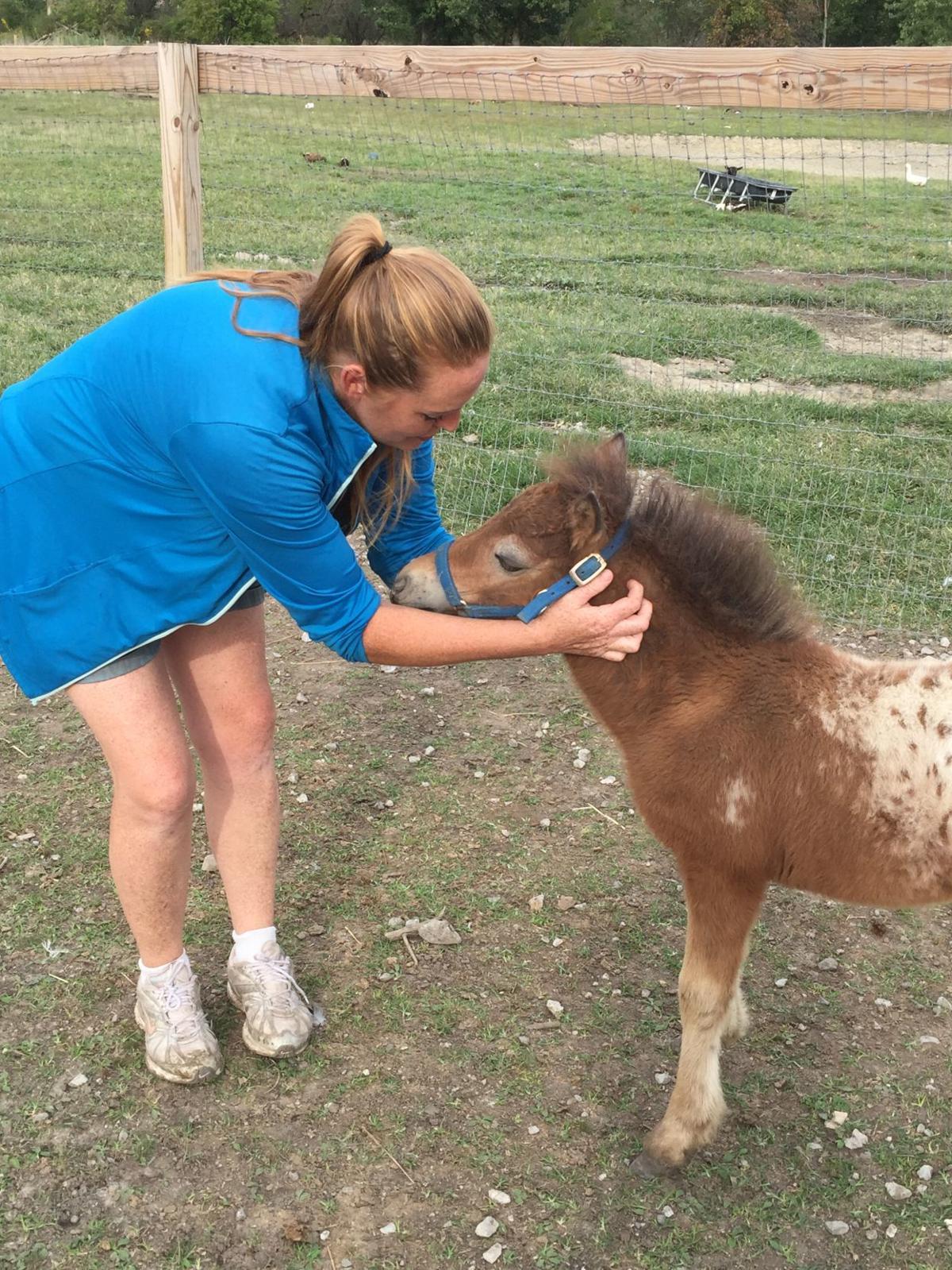 Erin S Farm Offers Safe Haven For Discarded Pets Abused Animals