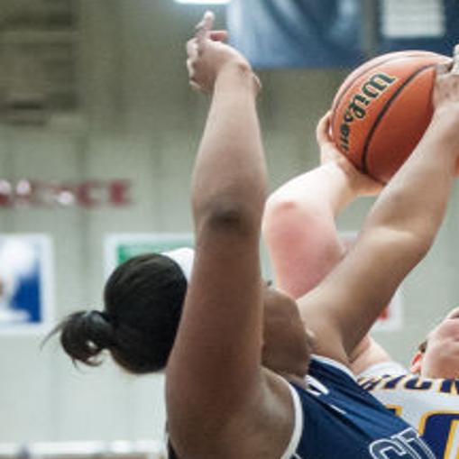 Scouting The 2015 16 Michigan City Wolves Girls Basketball Team Prep Girls Basketball Preview 2015 Nwitimes Com