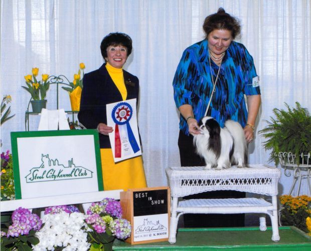 Steel City Kennel Club to host AllBreed Dog Show this weekend