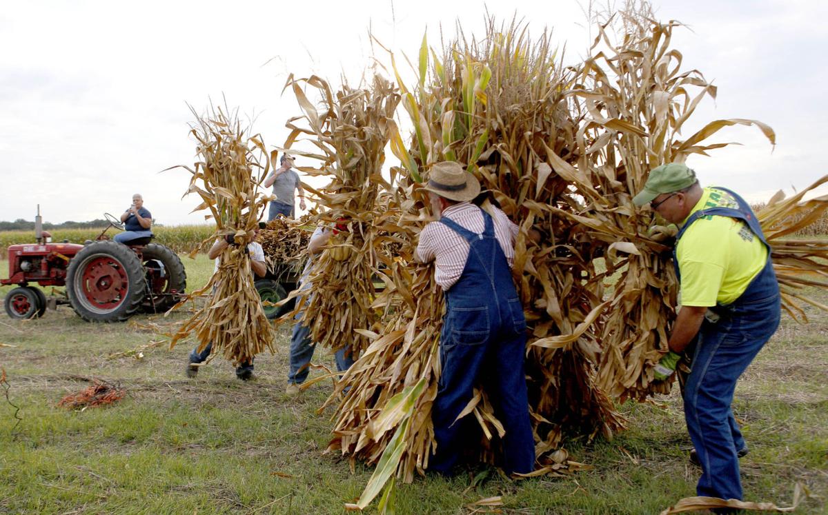 The shocking way to dry corn Northwest Indiana History