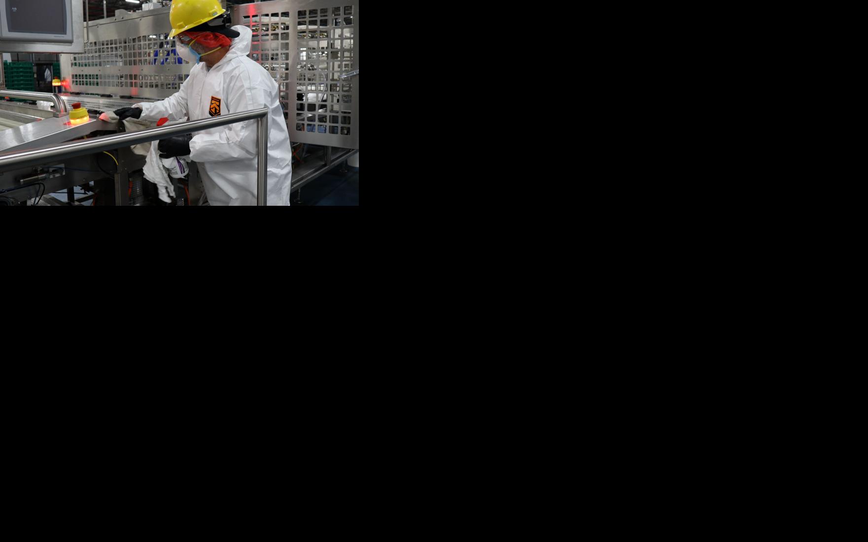 Asset-image