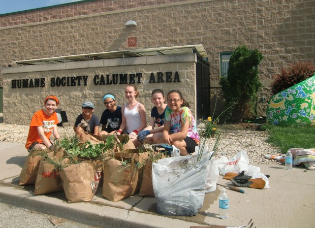 calumet area humane society