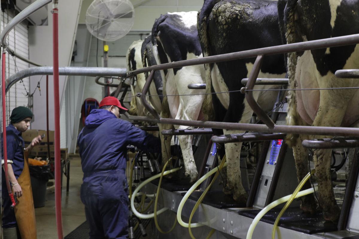 Fair Oaks Farms to add major new chicken, beef adventures Northwest