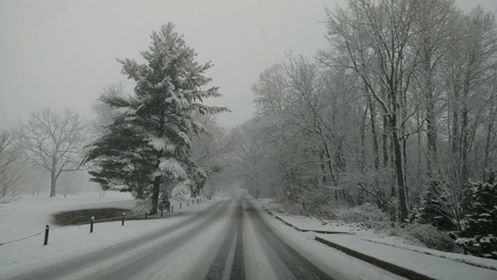Snow 2018