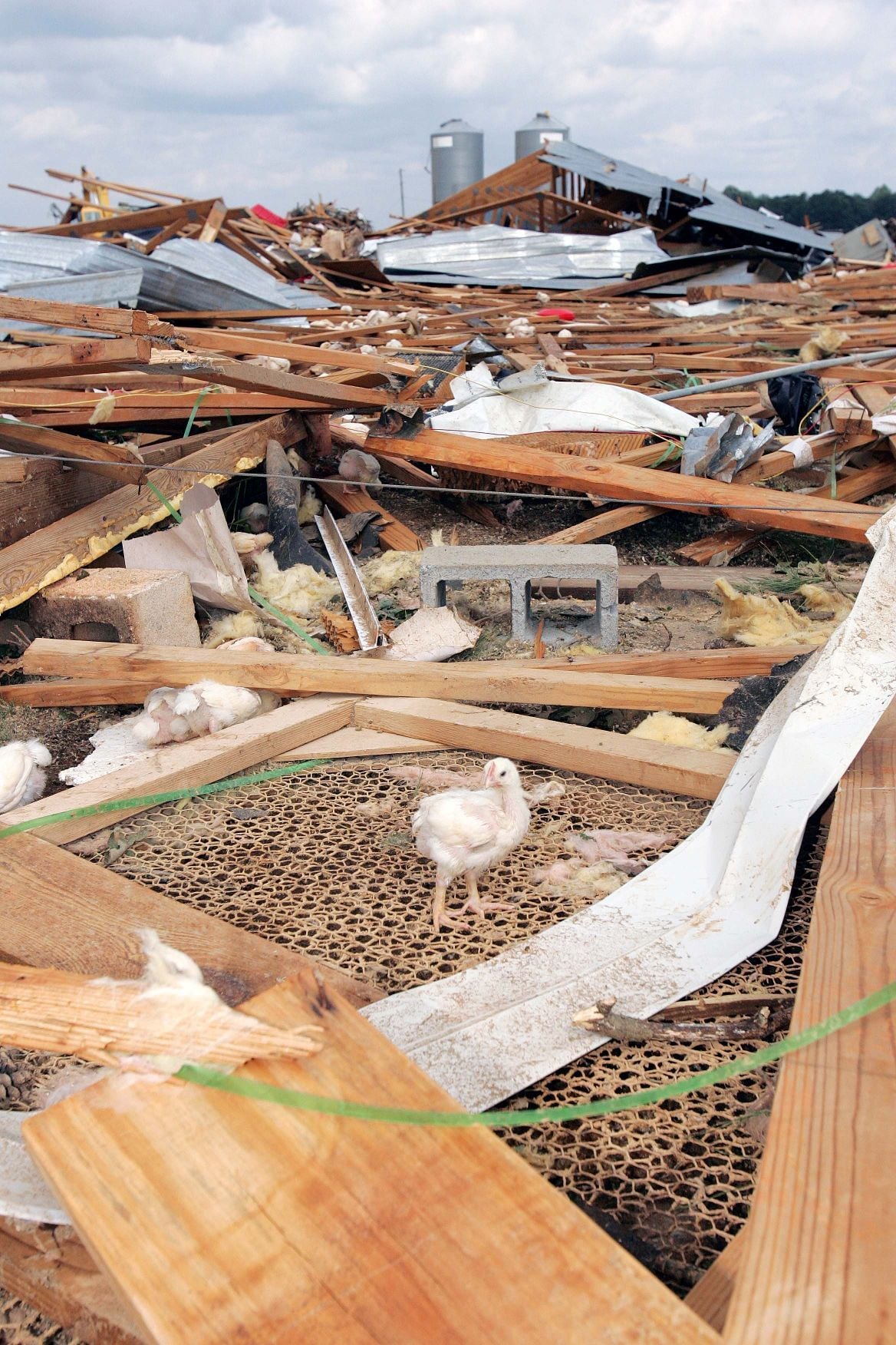 Gallery Remembering Hurricane Katrina Digital Exclusives Photo 