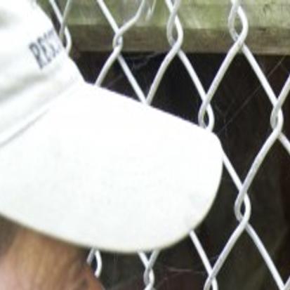 Roy Boy S Tigers Thriving In New Home Gary News Nwitimes Com