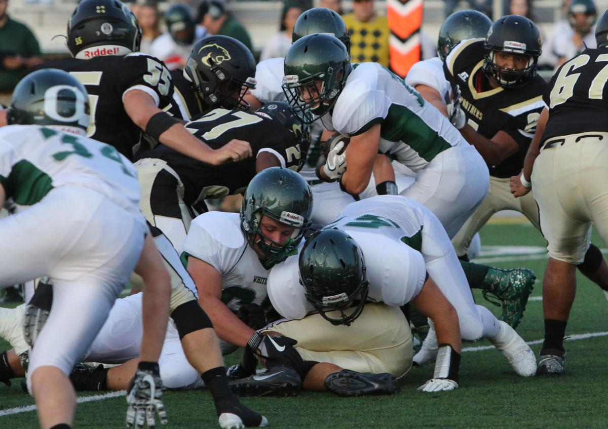 Gallery: Whiting at Griffith football