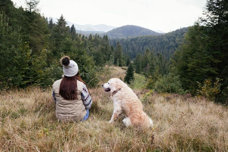 Woman in a bobble hat and grey jacket with a golden retriever dog in the mountains.