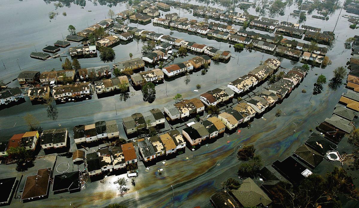the us government poorly managed the aftermath of hurricane katrina Hurricane katrina: after the flood sep 1st 2005 hurricane katrina: a city silenced sep 1st 2005 south-east asian and oil: the black and blue stuff aug 11th 2005 property insurance: taking cover jun 16th 2005 oil prices: fuel's gold mar 10th 2005 hurricane ivan: counting the cost sep 16th 2004 as relief stumbles along, the political blame. the us government poorly managed the aftermath of hurricane katrina Hurricane katrina: after the flood sep 1st 2005 hurricane katrina: a city silenced sep 1st 2005 south-east asian and oil: the black and blue stuff aug 11th 2005 property insurance: taking cover jun 16th 2005 oil prices: fuel's gold mar 10th 2005 hurricane ivan: counting the cost sep 16th 2004 as relief stumbles along, the political blame.