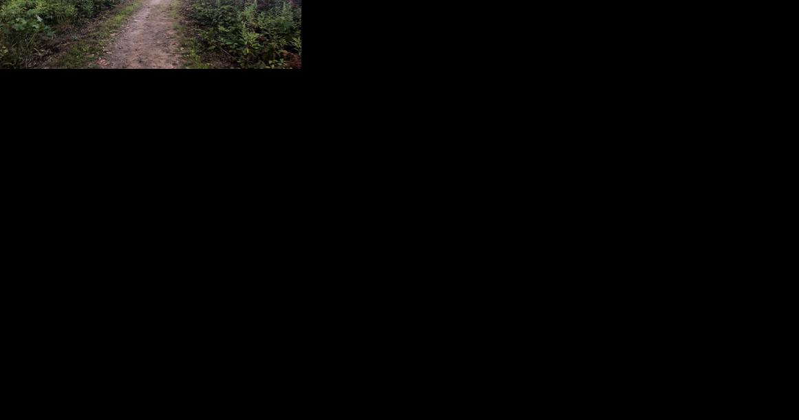 Indiana Dunes National Park to lead first spring hike, history hikes - Vimarsana News