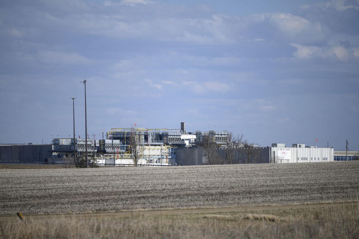 Virus Outbreak Killing Hogs