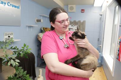 Get Healthy: Summertime, and pest, heat precautions are needed for pets, too