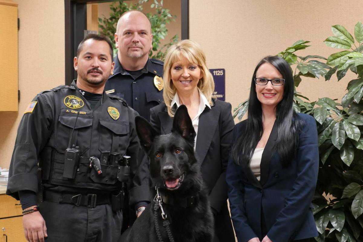 Scout's honor School City of Hobart lucky to have protective K9