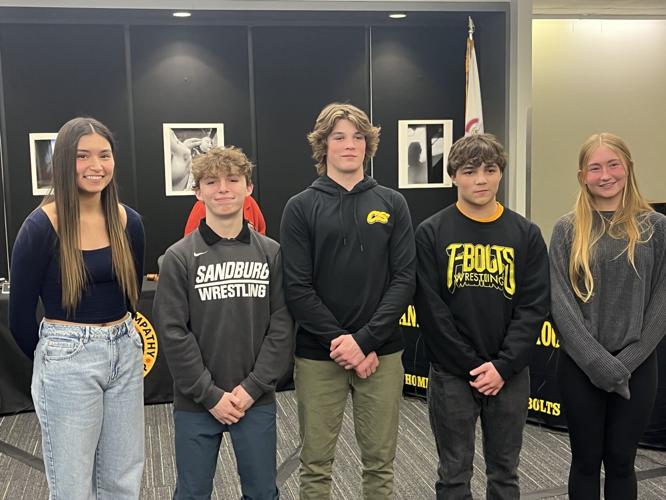 District 230 hails photographers, athletes for gold medals, top state finishes