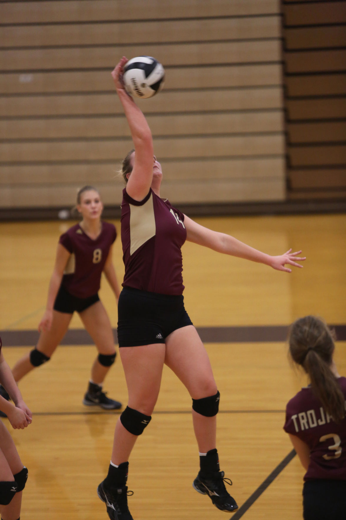 Updated Gallery Chesterton/Hobart face off in Sectional volleyball