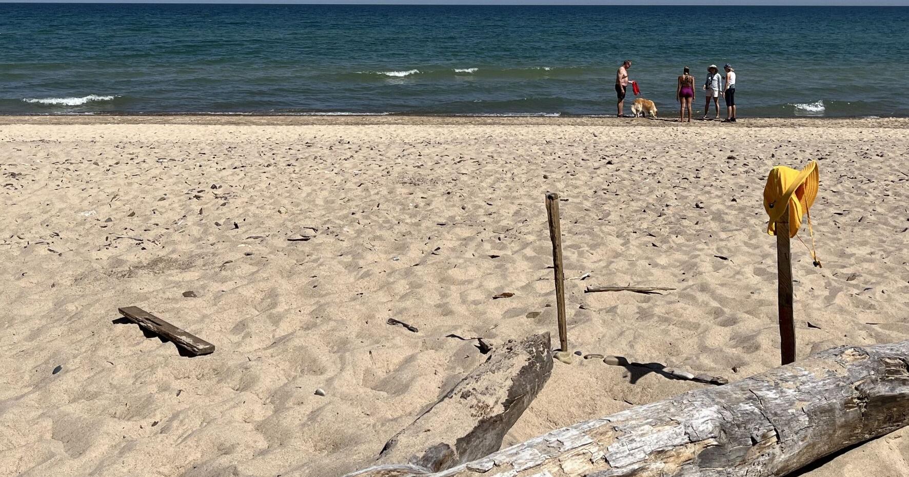 Area beachgoers getting bugged at 'unusually' large numbers - Vimarsana News